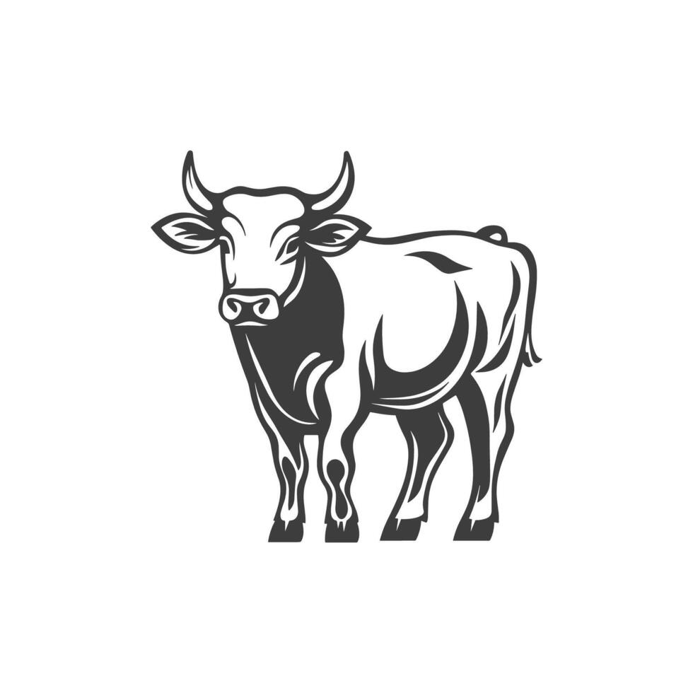 Black and white cow is standing in front of a white background. The cow has horns vector