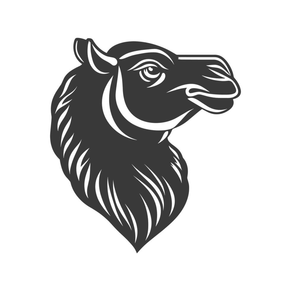 Camel's head is shown in black and white. The camel's head is the main focus of the image vector