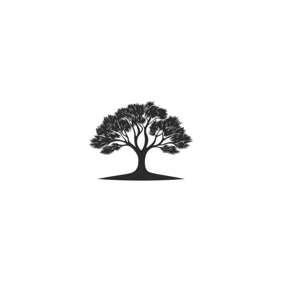 Tree is depicted in a black and white photo. The tree is the main focus of the image vector