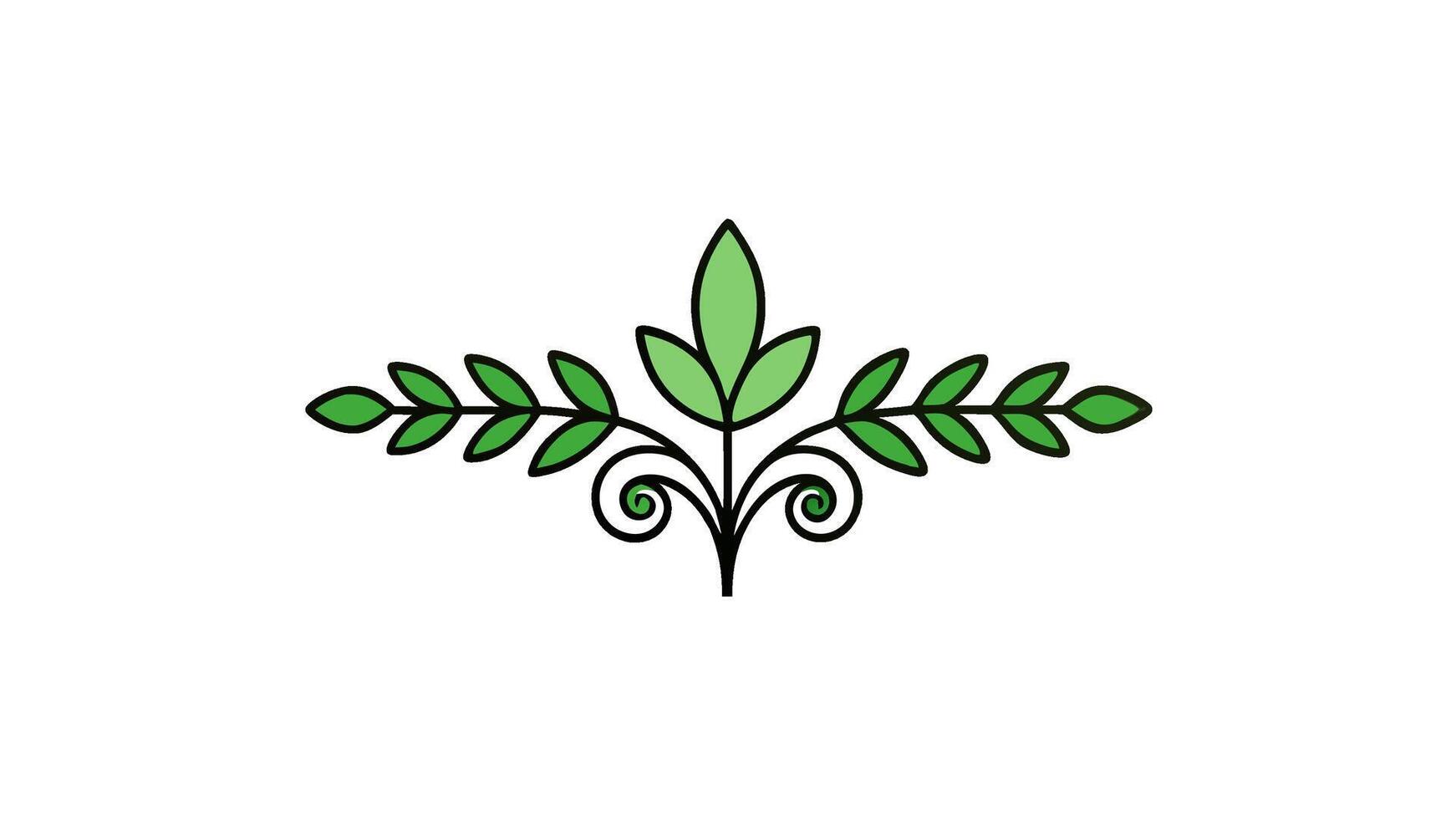 Beautiful Botanical Ornament Elements Design vector