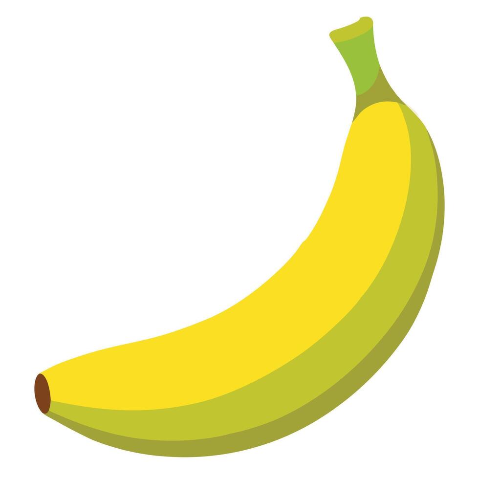 Banana fruit art vector