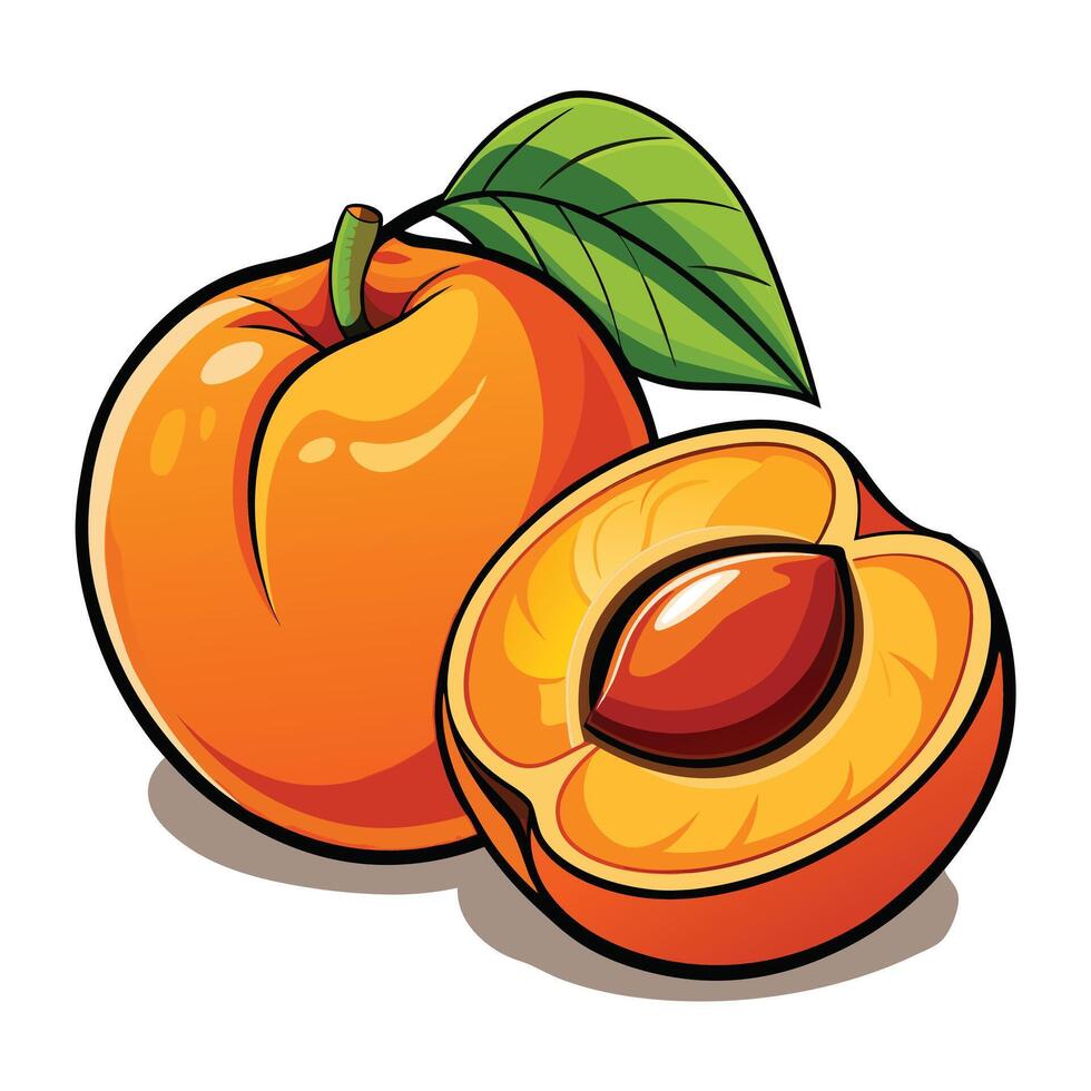Whole and sliced peaches and apricots vector