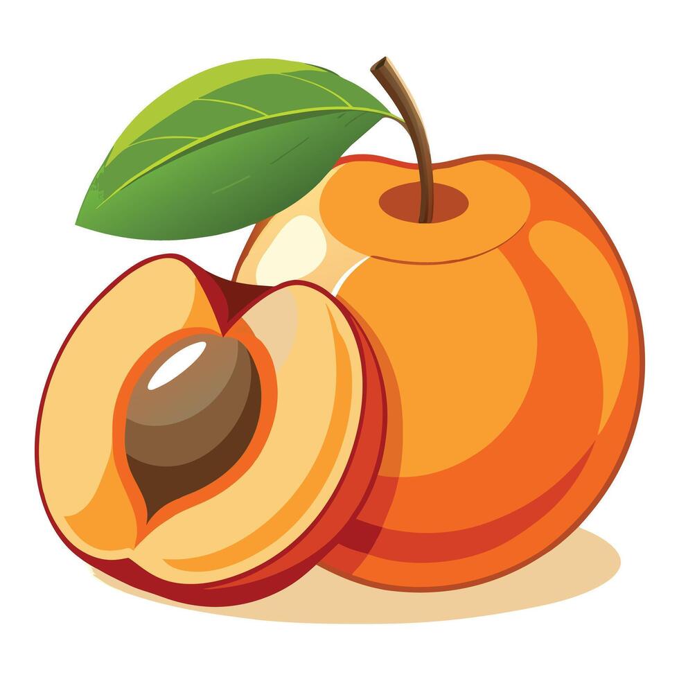 Realistic fruits composition with images of whole and sliced apricot fruit on blank background illustration vector