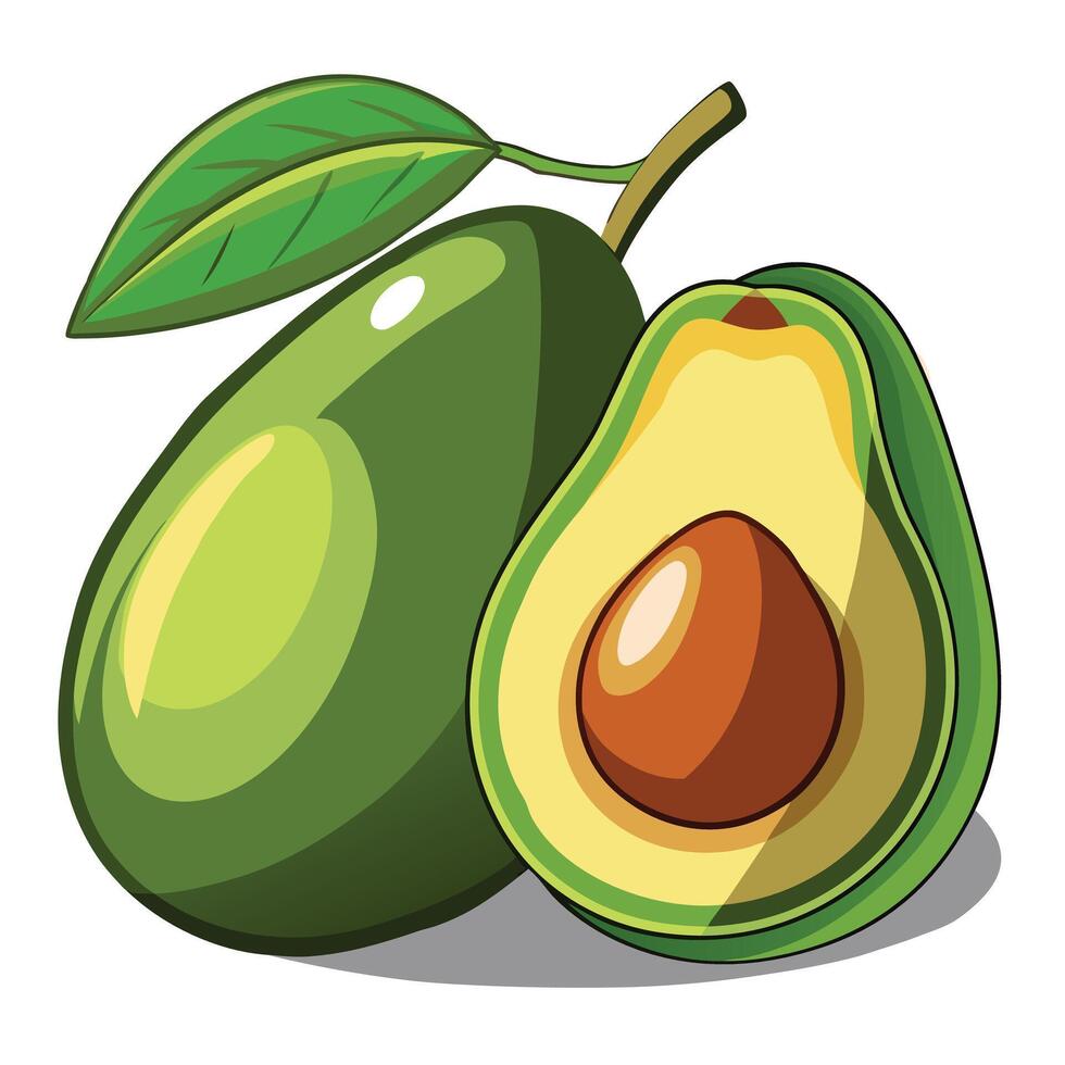 Avocado Fruits Illustration vector