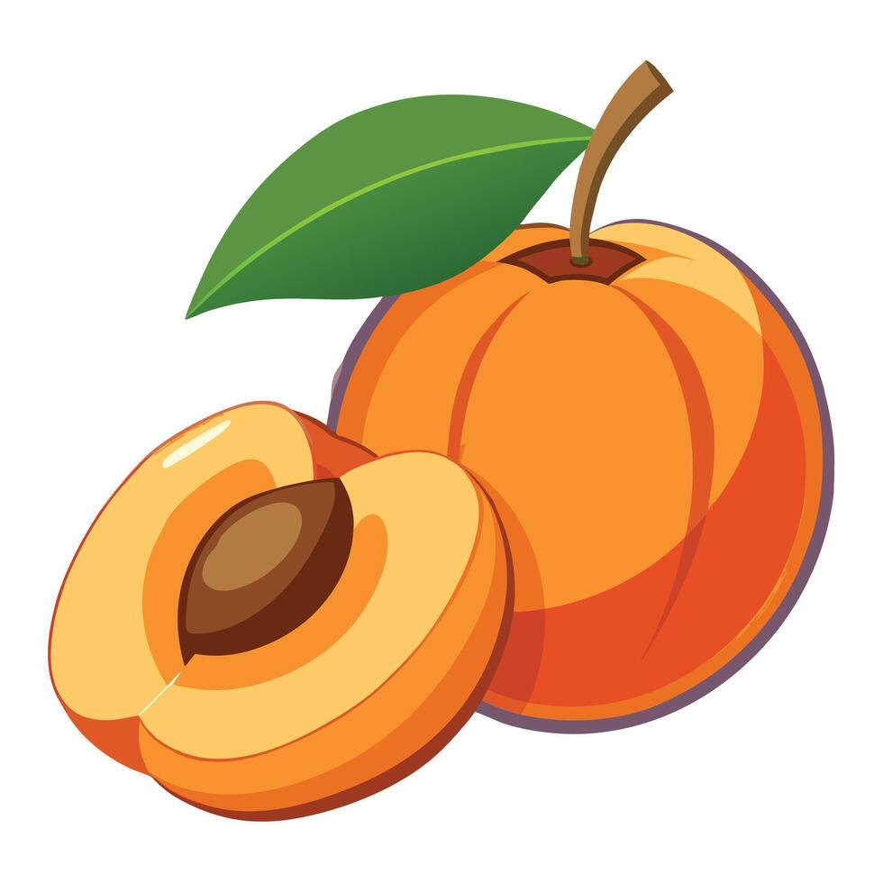 Realistic Ripe peaches whole and slice isolated on white vector