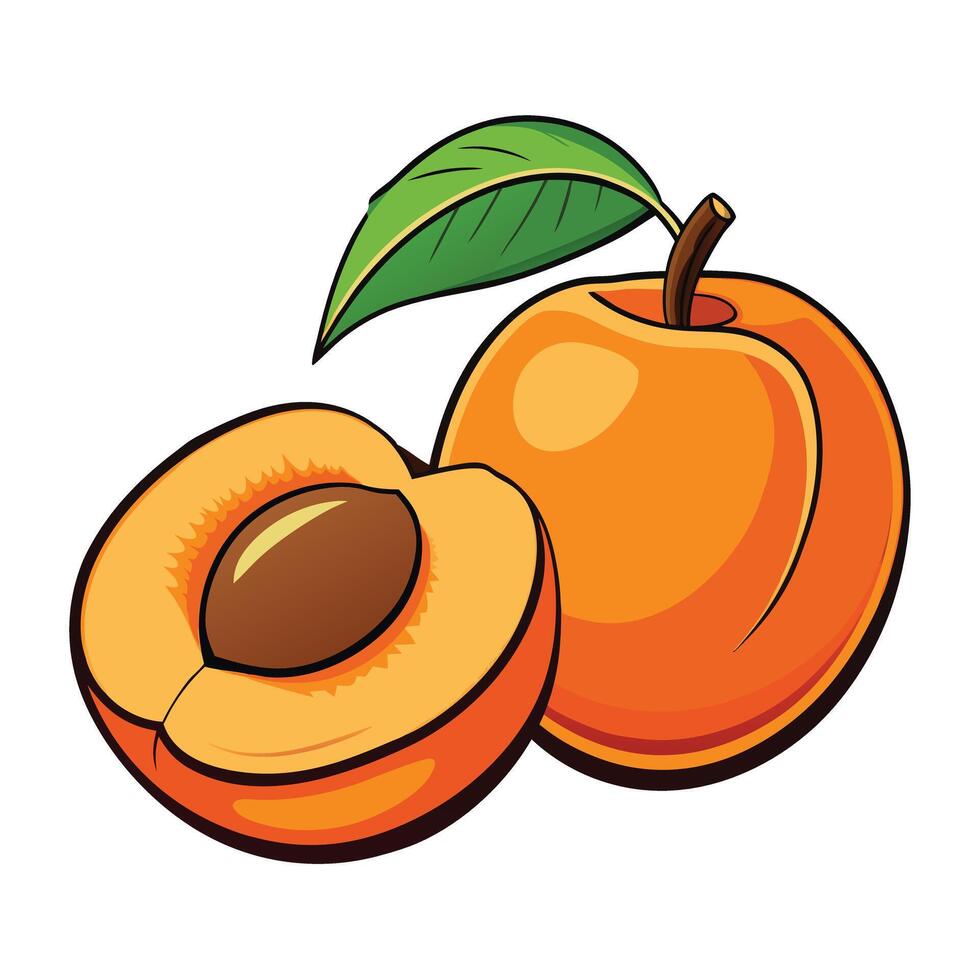 Orange natural organic peach fruit vector