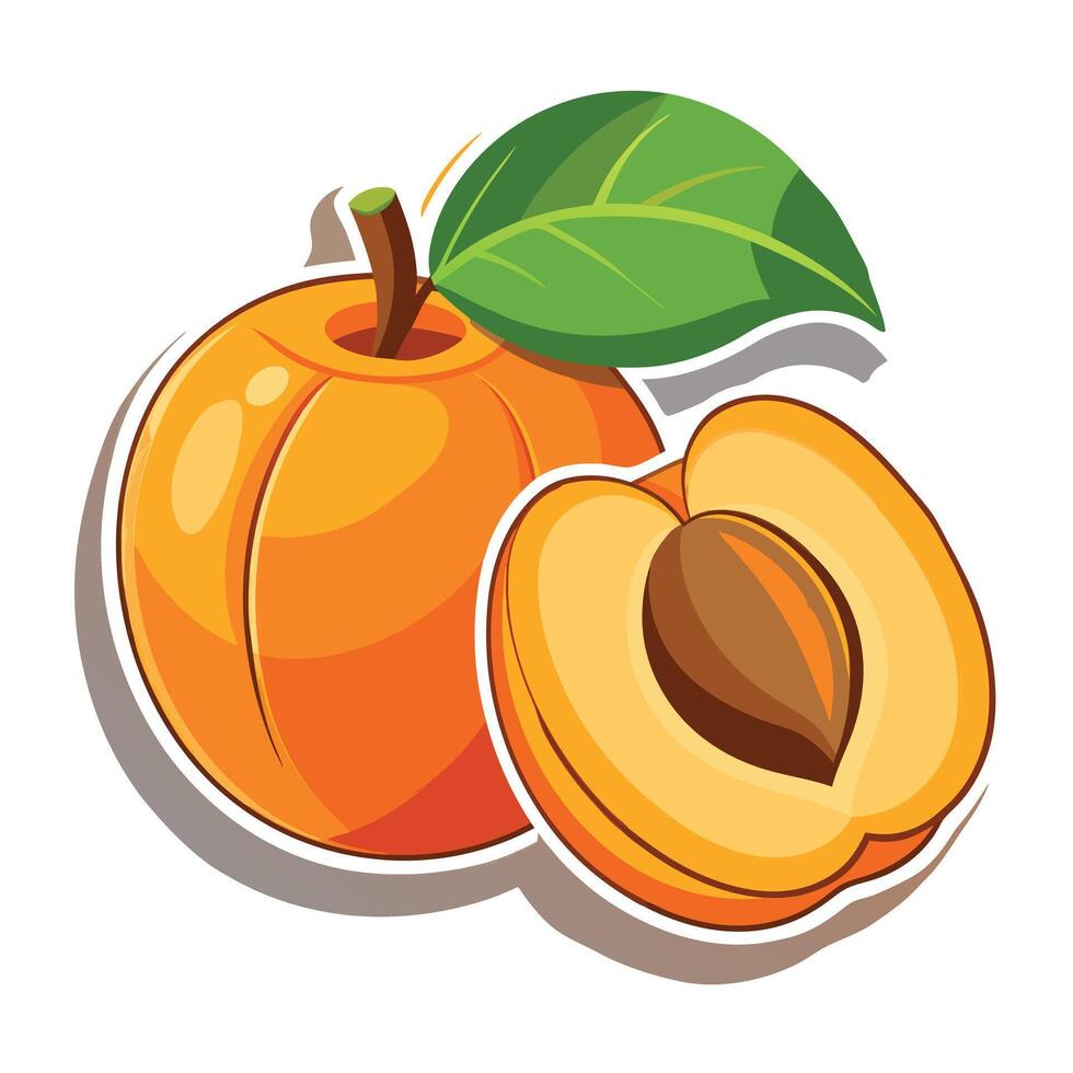 Realistic peaches whole and green leaves with drops vector