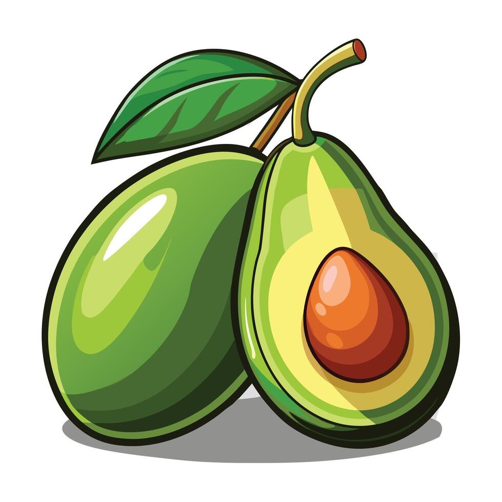 Hand drawn natural fresh avocado vector