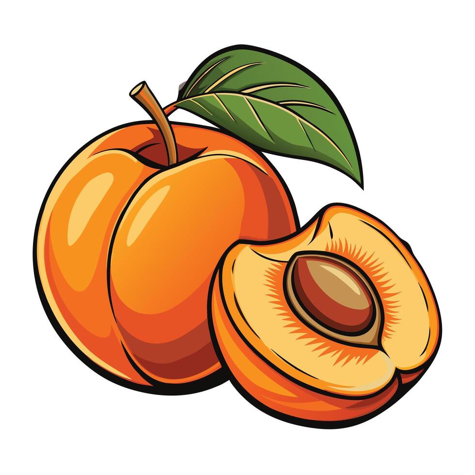 Ripe peaches, whole and slice vector
