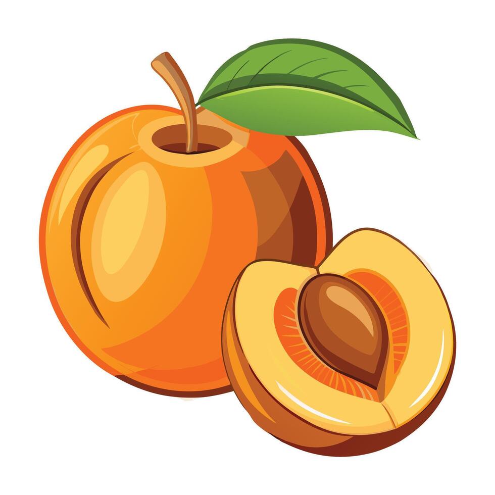 peach isolated on white background, peach with leaves, half of peach, piece vector