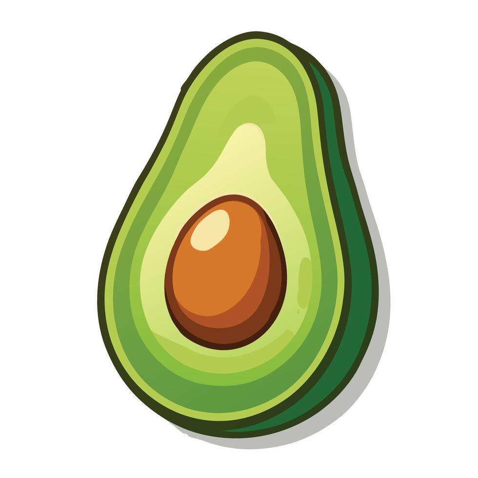Cut Avocado fruit vector