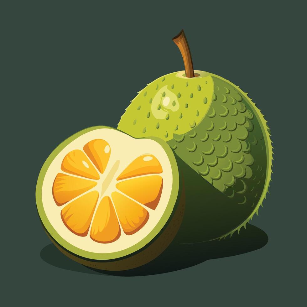 Durian fruit whole and half cut illustration isolated on white background vector