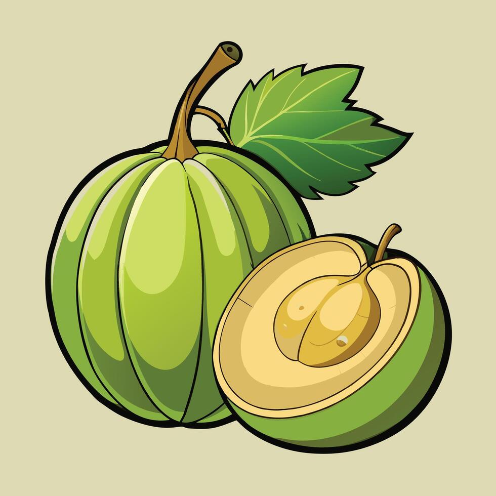 Organic flat amla illustration vector