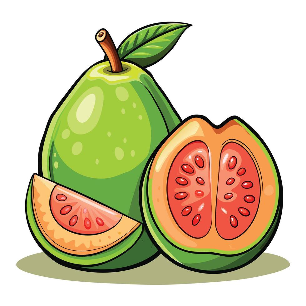 Guava illustration colorful design vector