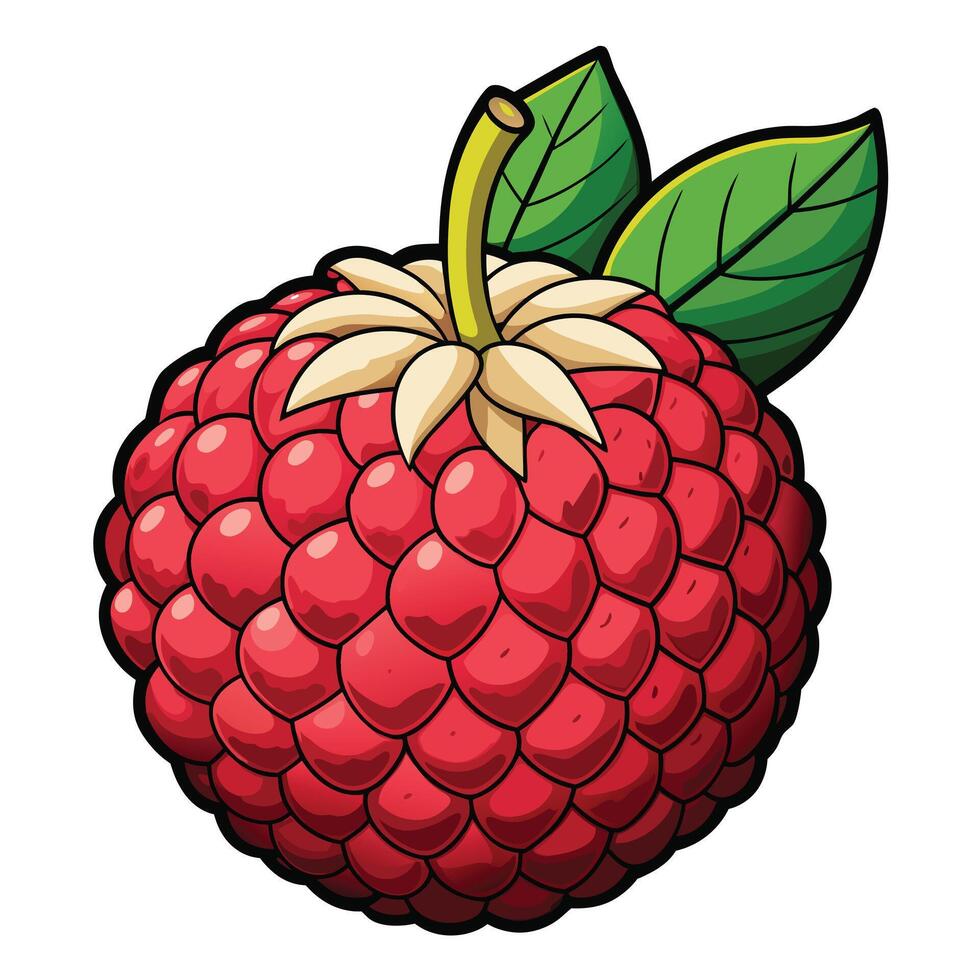 Lychee fruit flat illustration on white background vector
