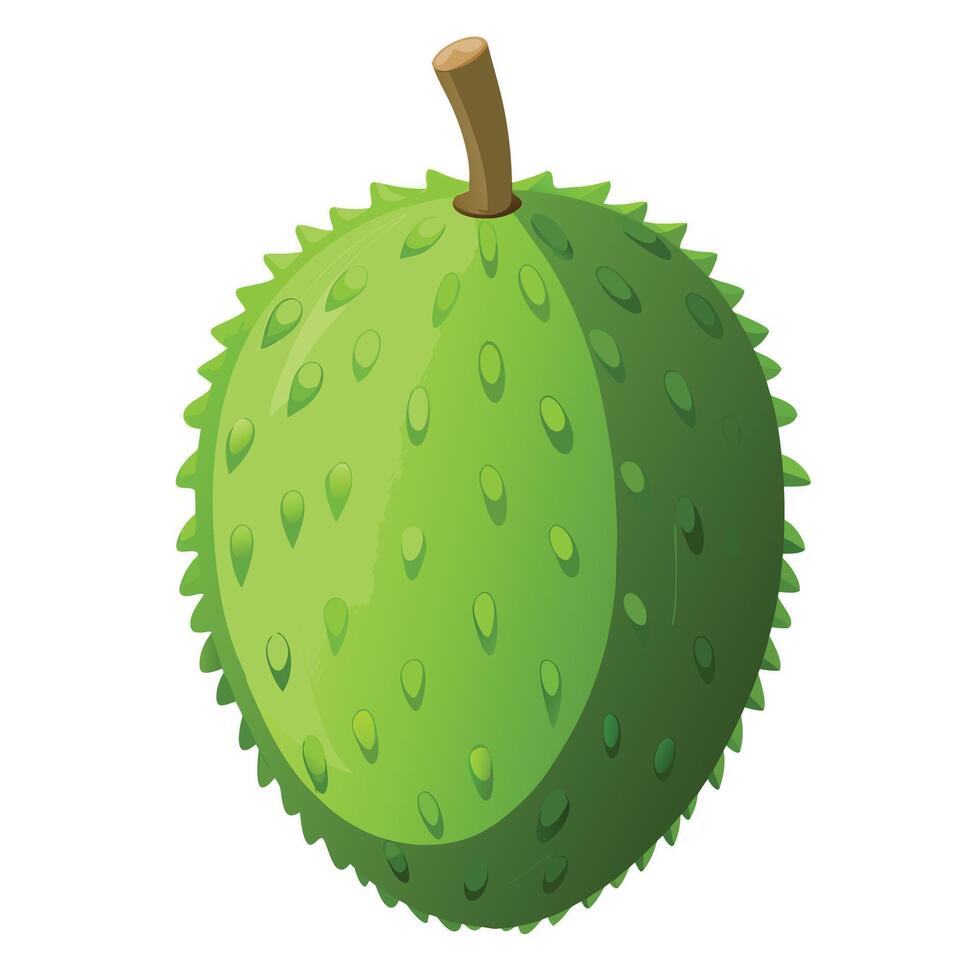 Green durian fruit illustration vector