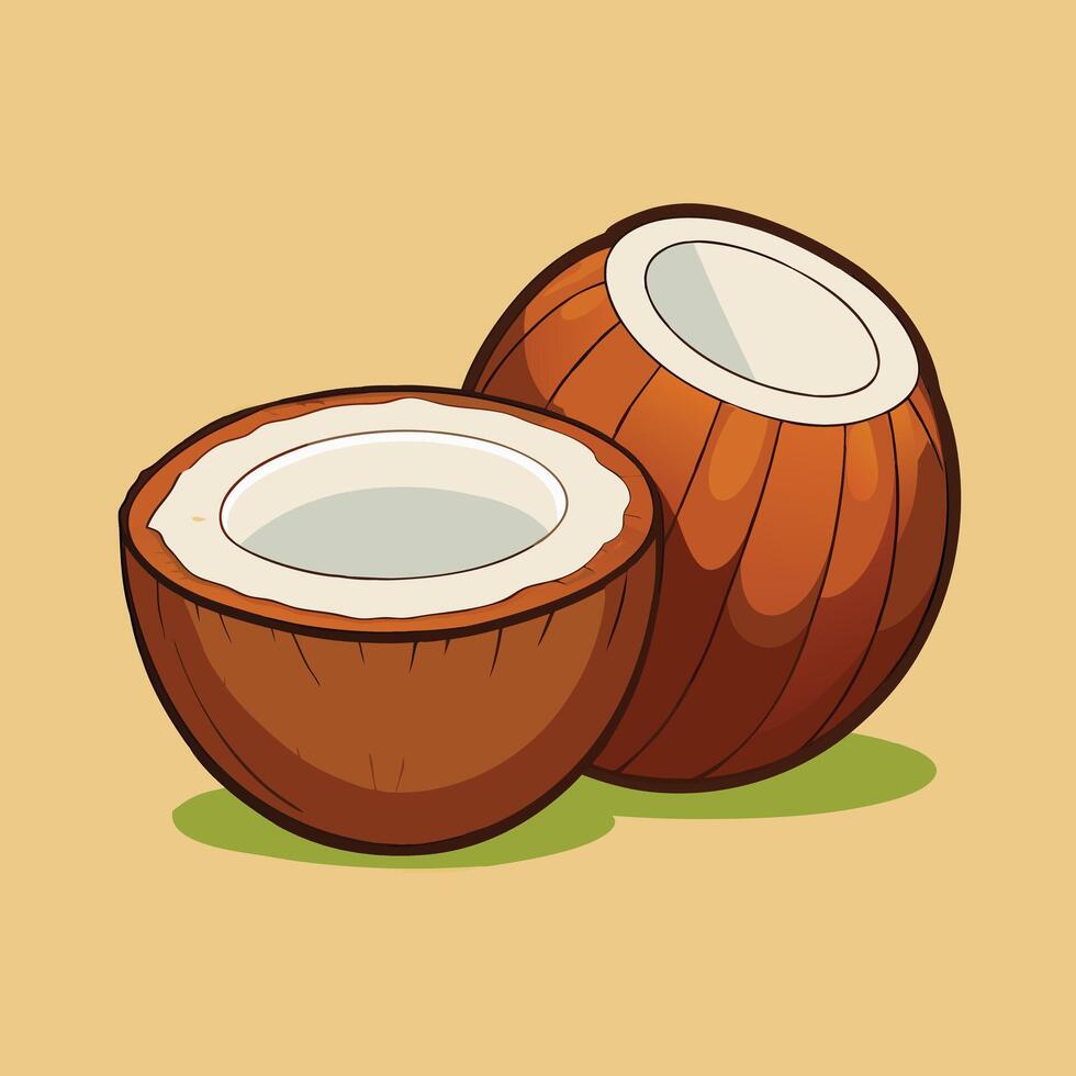 Realistic coconut fruit illustration vector