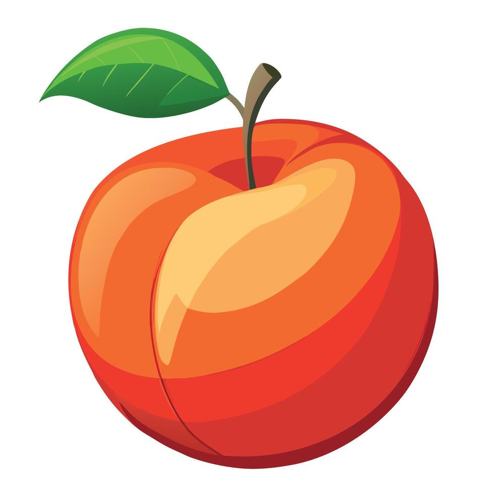 Realistic ripe apricot isolated whole fruit vector