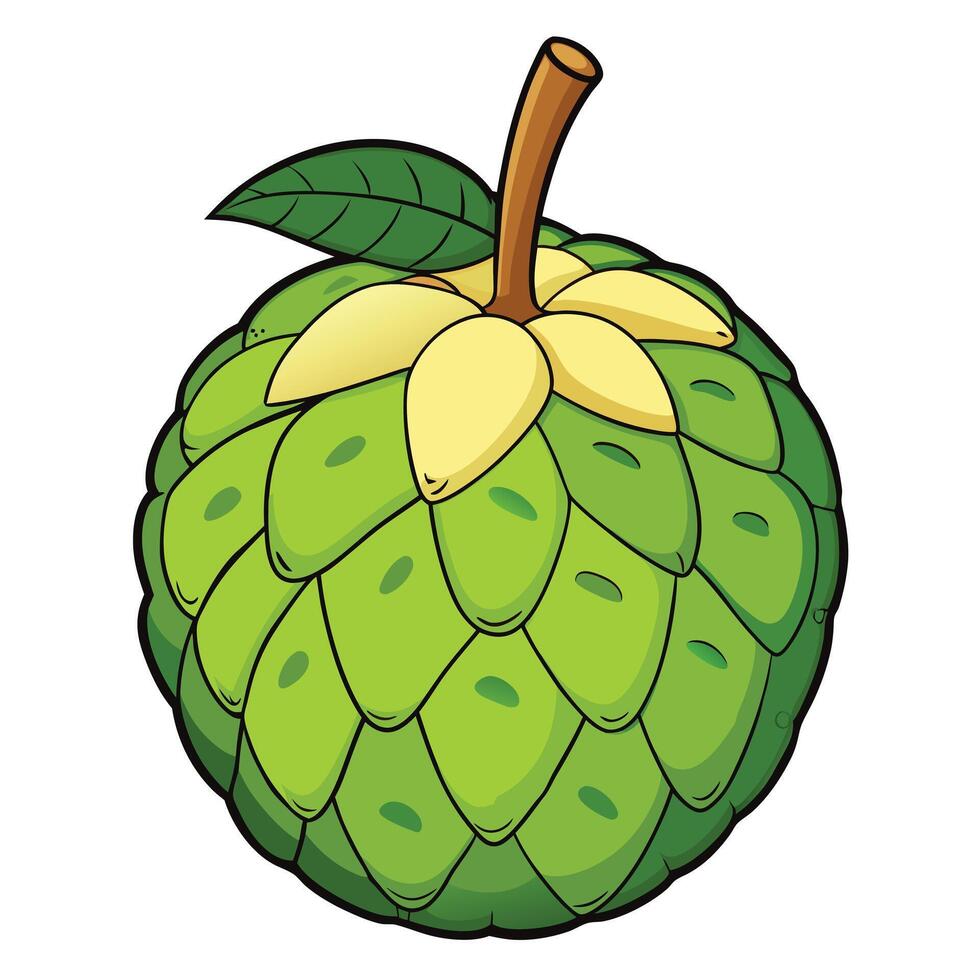 Summer tropical fruits for healthy lifestyle Jackfruit illustration cartoon flat icon isola vector