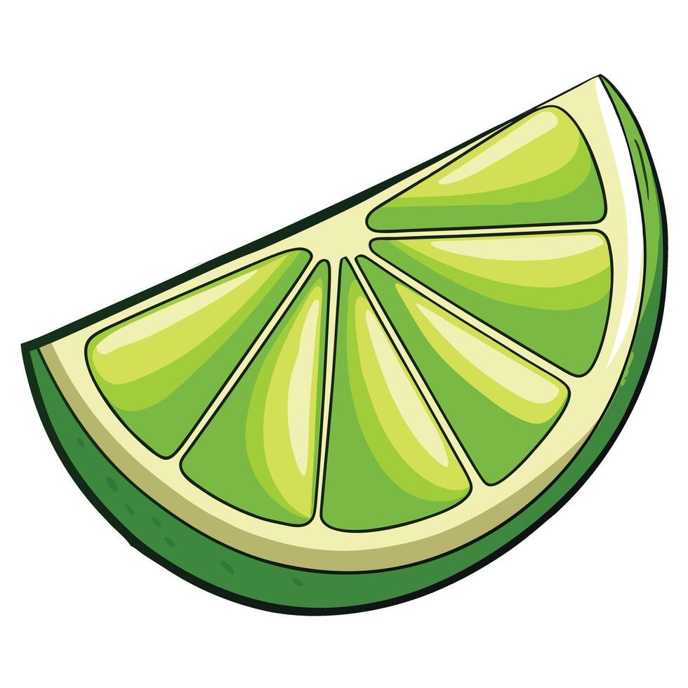 Isolated lime sliced on white background vector
