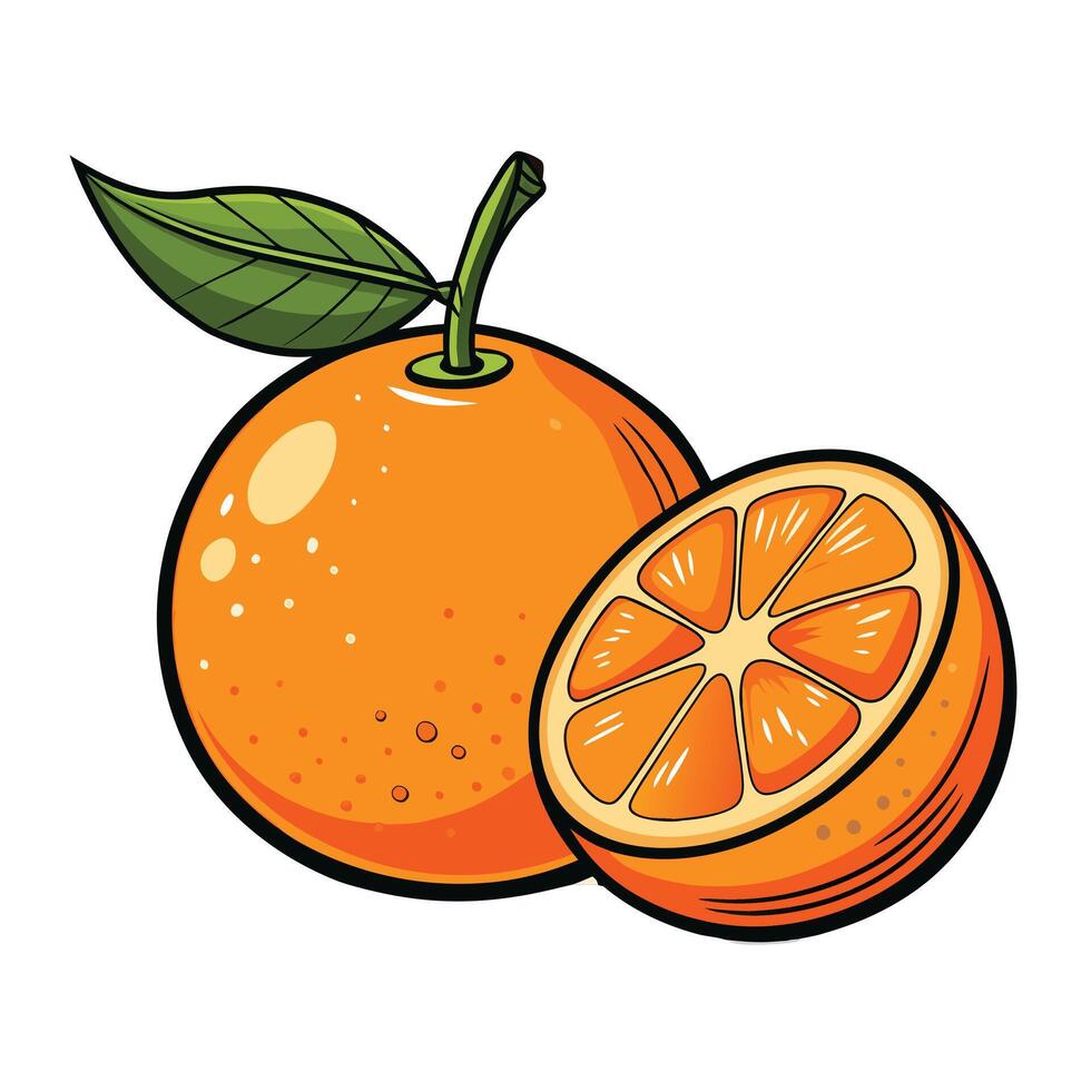 Fresh orange isolated on white background vector