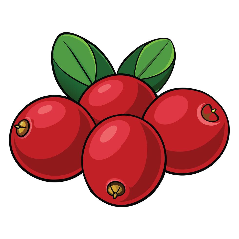 Flat design rowan illustration vector