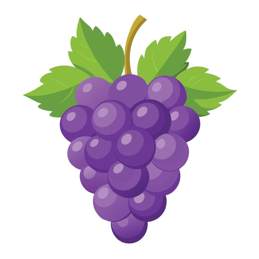 Purple grapes design vector