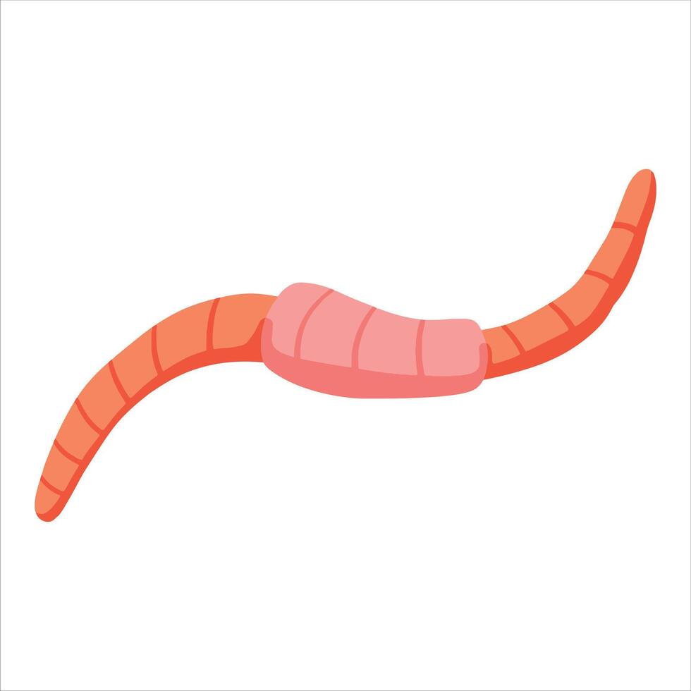 Worm bait. Cartoon earth creep. Cartoon insect animal. Invertebrate bug vector