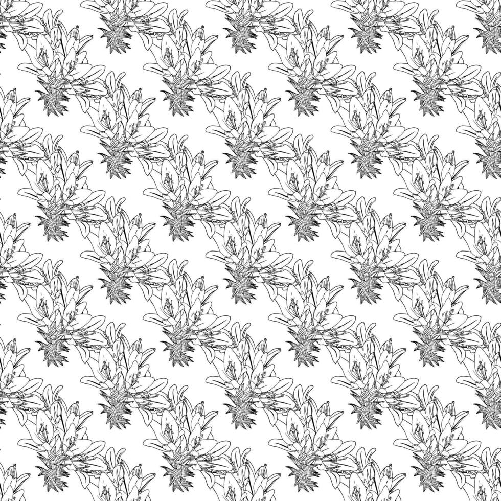 lily pattern 22.01.25-30 vector