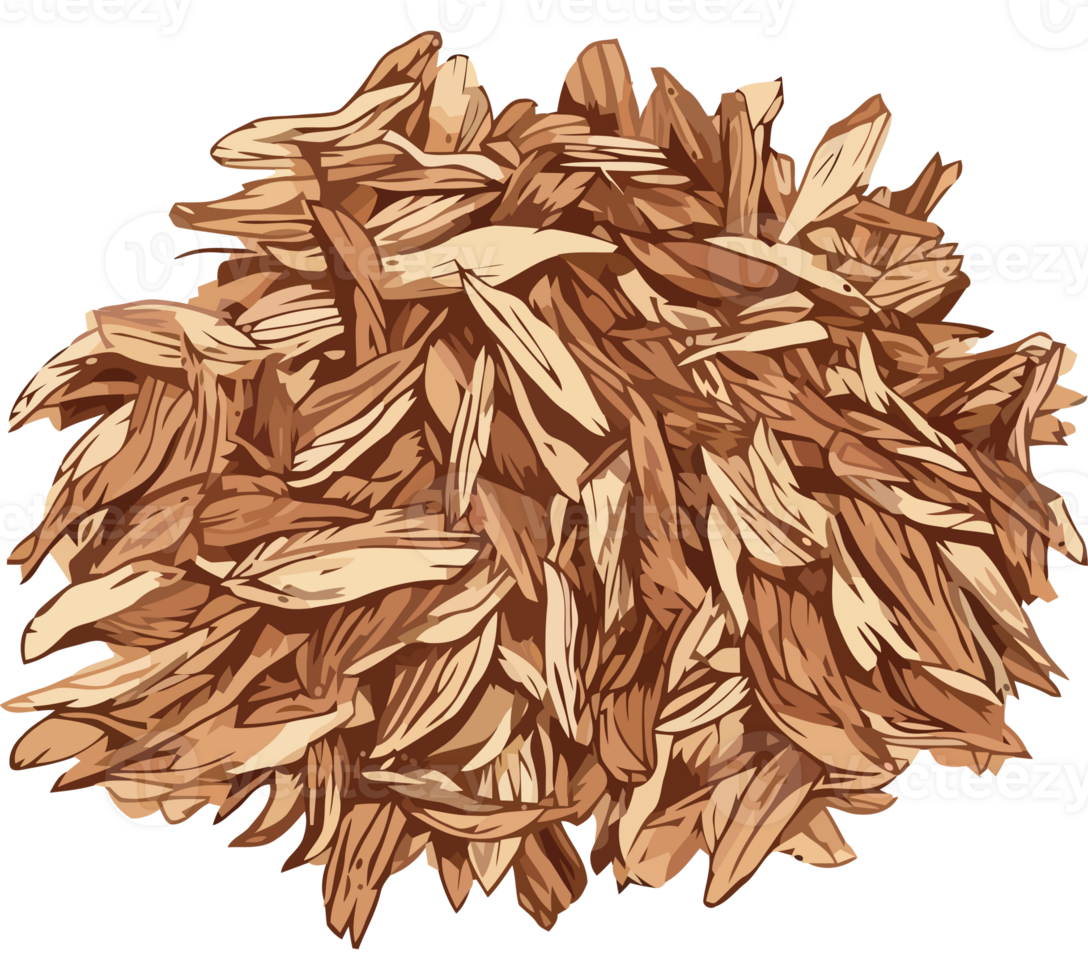 Ripe wheat plant symbolizes healthy vegetarian meal icon isolated png