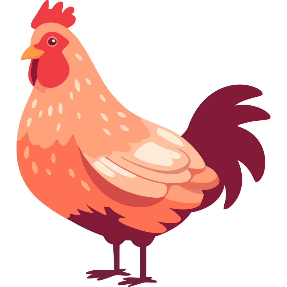 Standing cockerel in farm, crowing at dawn icon isolated png