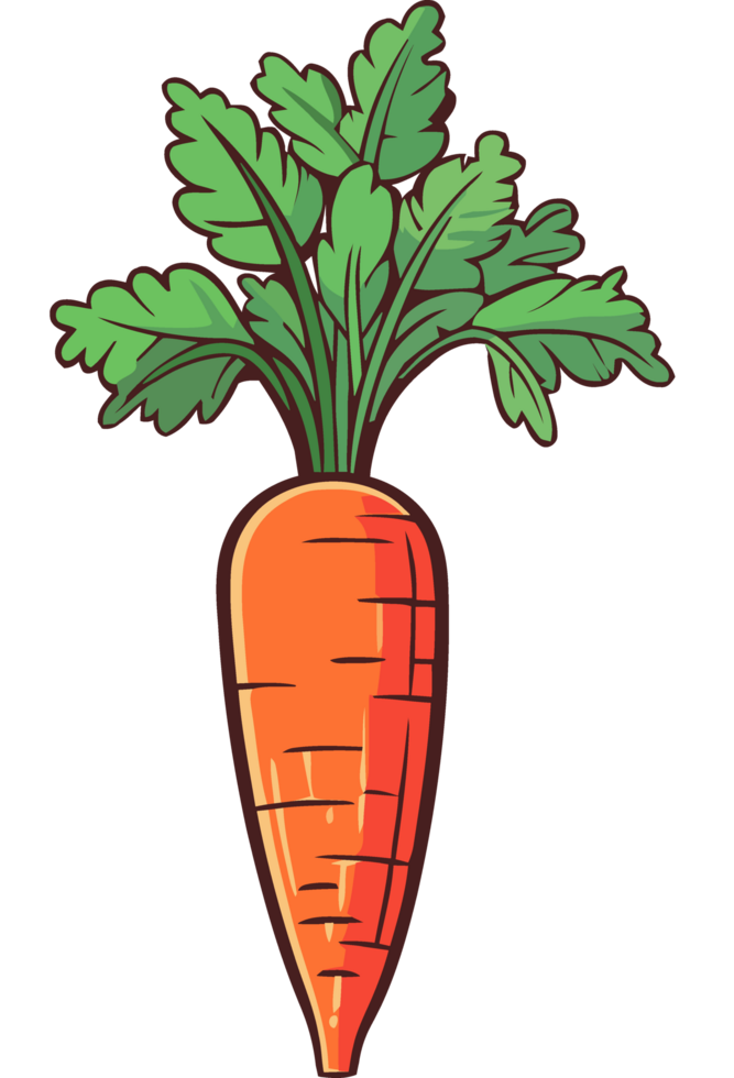 Fresh organic carrot, a symbol of healthy eating icon isolated png