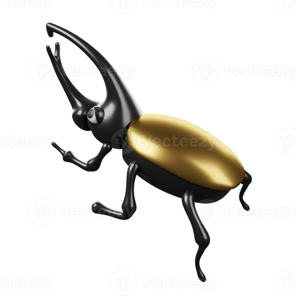 A black and gold beetle with a long tail png