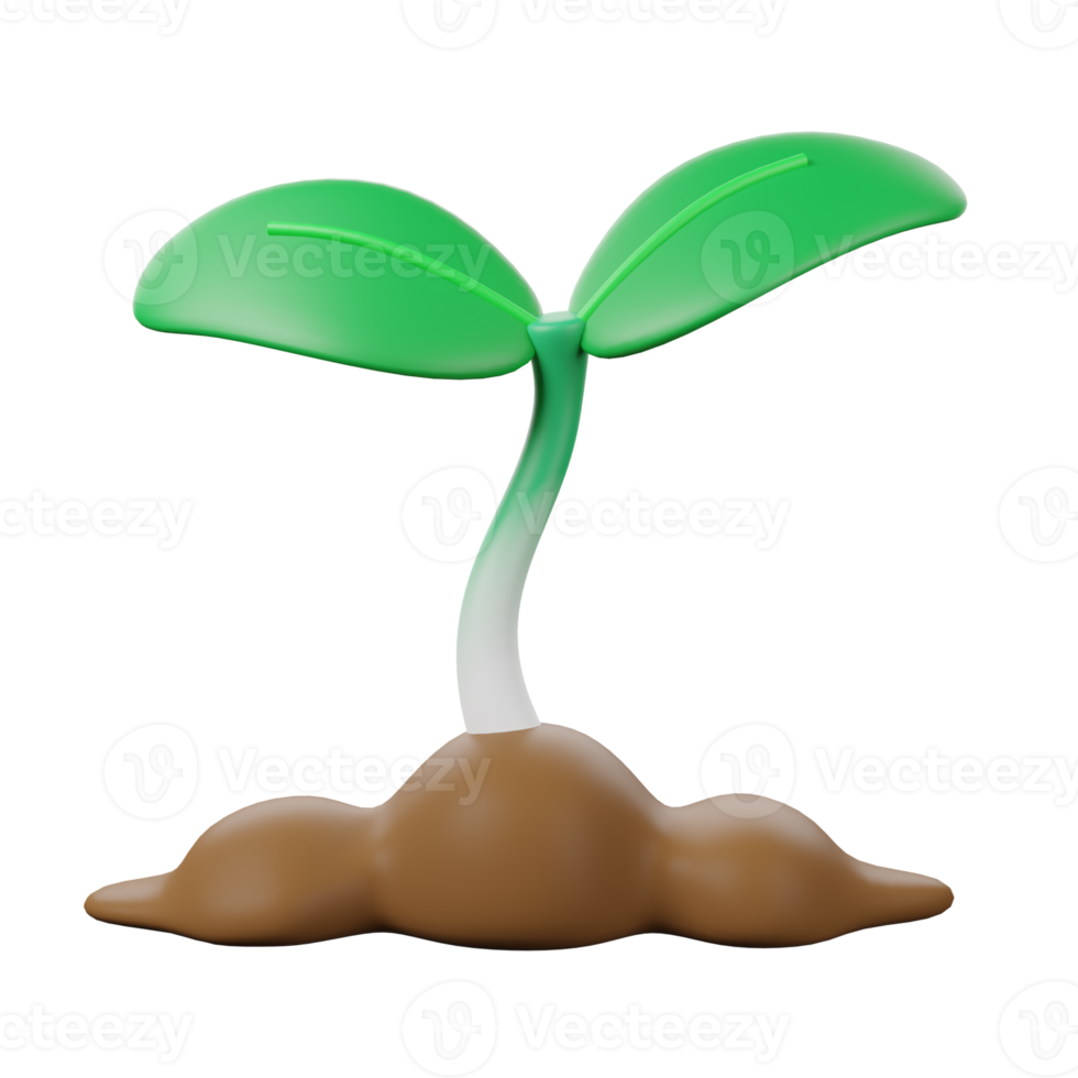 A plant sprouting from the ground png