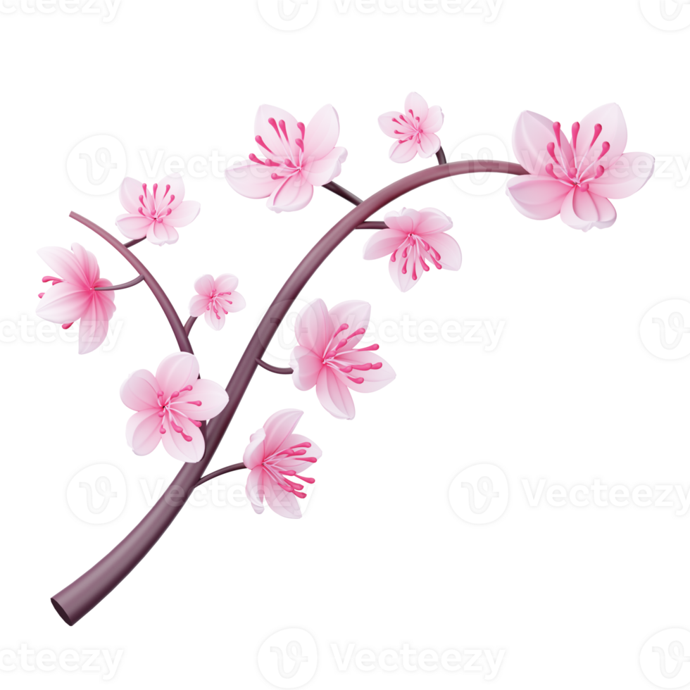 A branch with pink flowers on it png