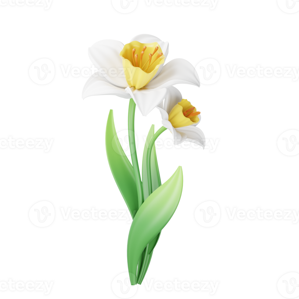 Two white flowers with yellow centers on a black background png
