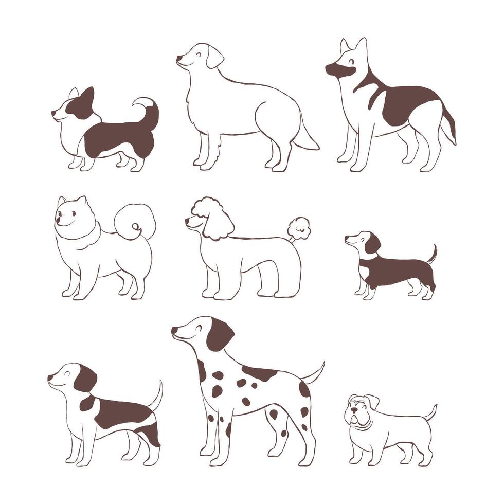 Dogs of different breeds. Set of hand-drawn puppies vector