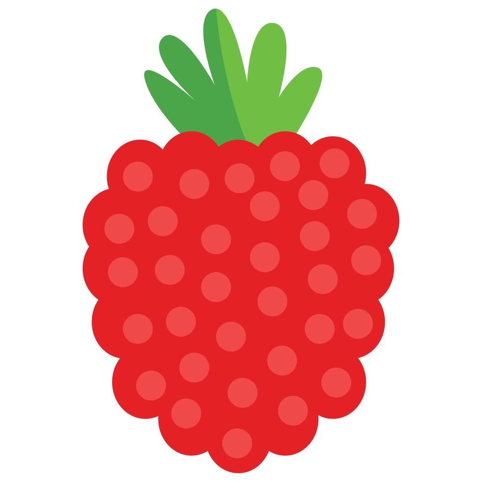 Illustration of a Raspberry Fruit vector