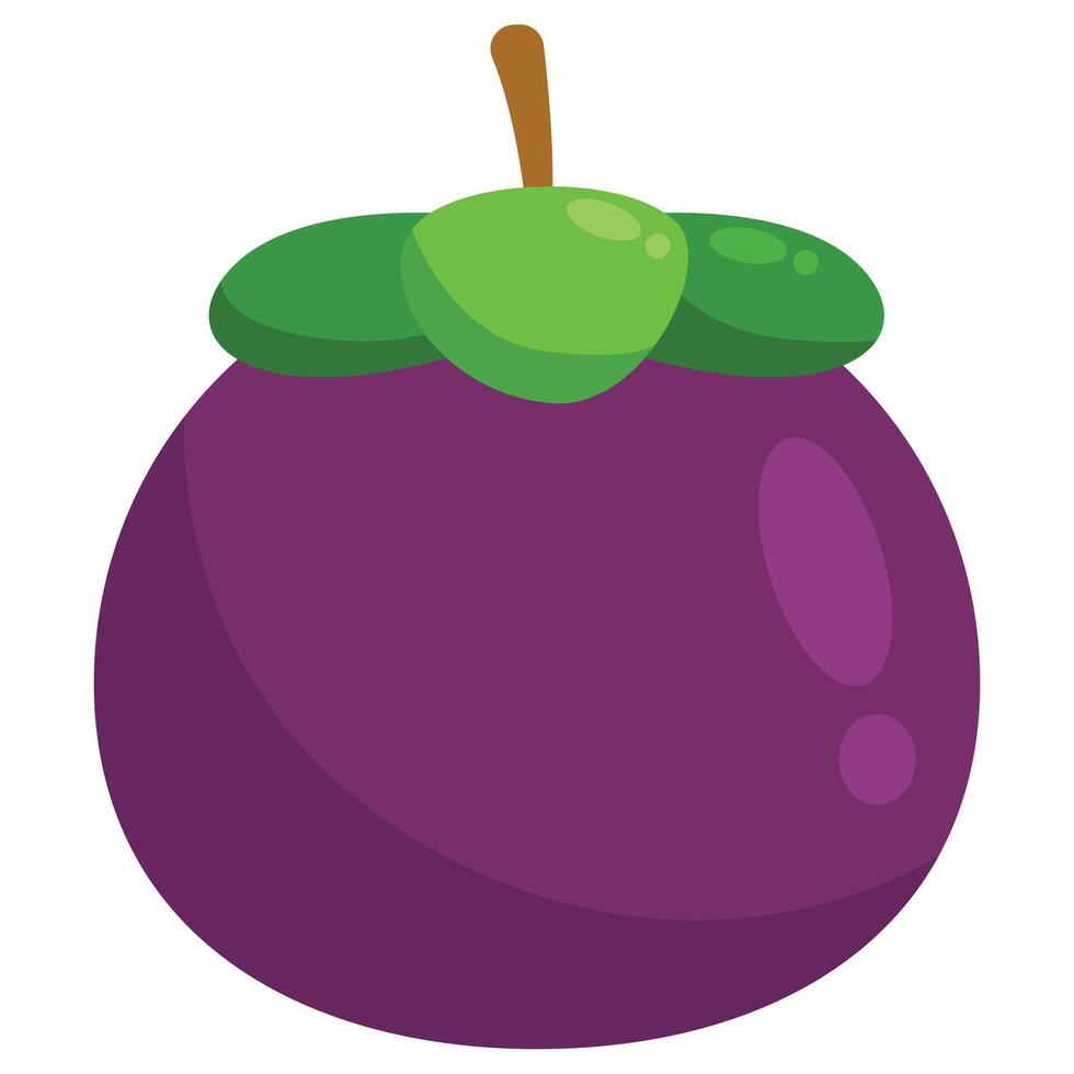 Illustration of a Mangosteen Fruit vector