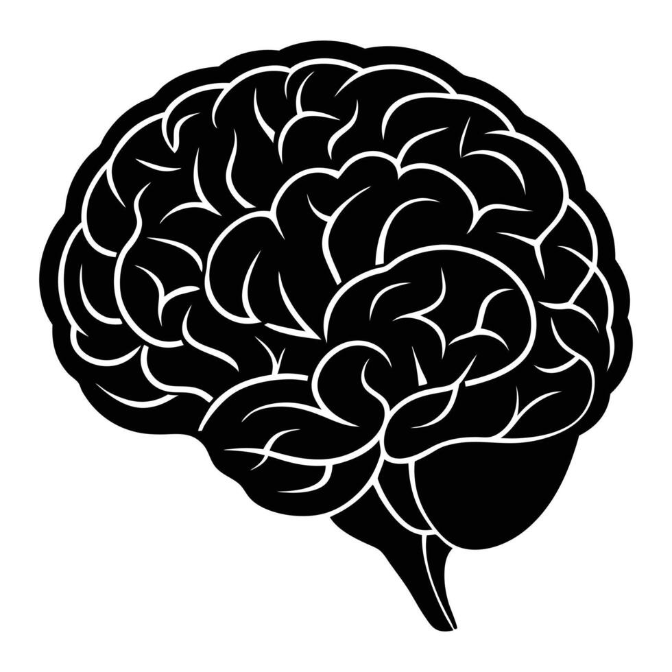 a black and white illustration of a human brain vector