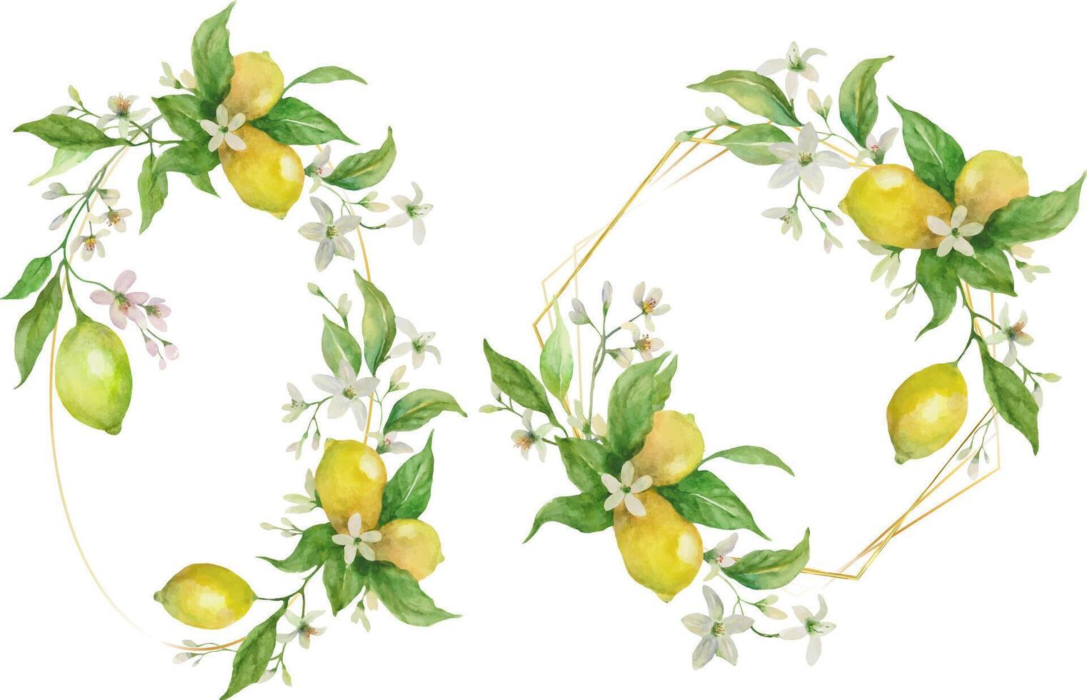 Set of watercolor frames adorned with leaves, flowers, and lemon fruits. Hand-painted illustration. vector