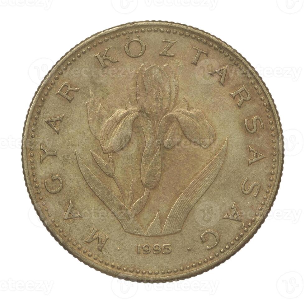 Forint 20 coin photo