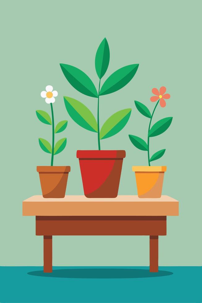 Three potted plants, flowers, table, home decor, green leaves, nature, spring, blooming, garden, bot vector