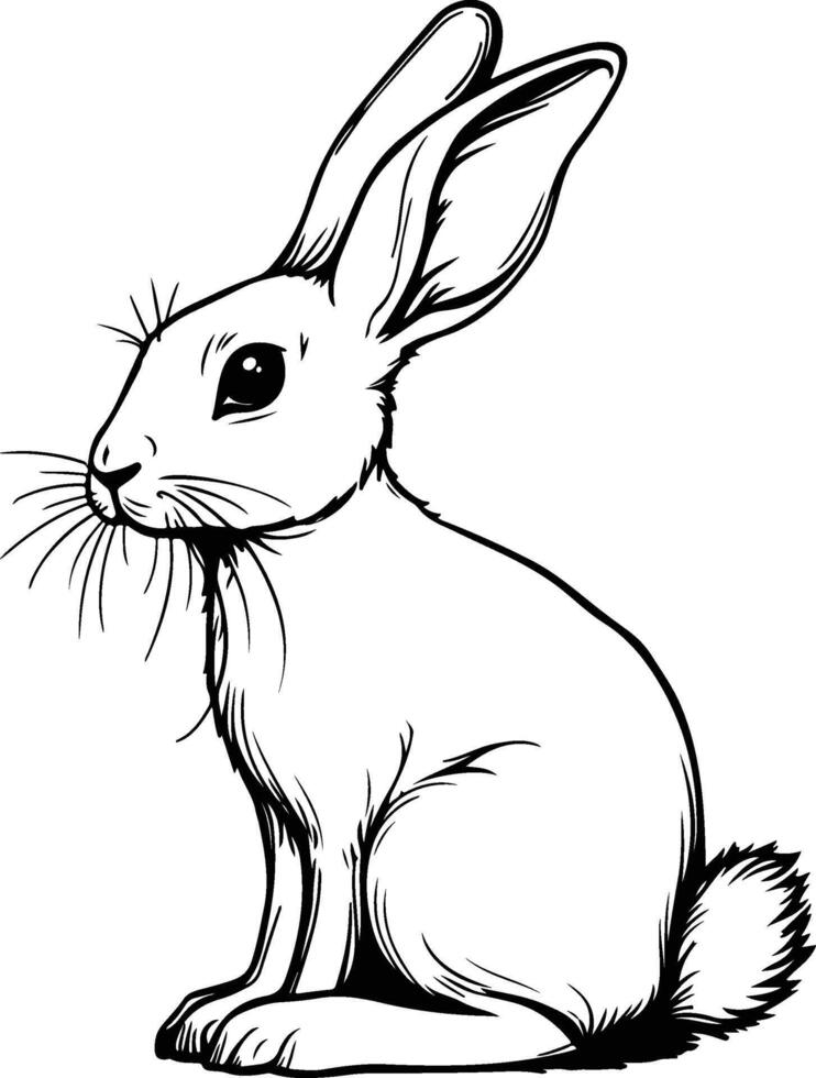 Rabbit Silhouette Art - Black and White Bunny Illustration vector