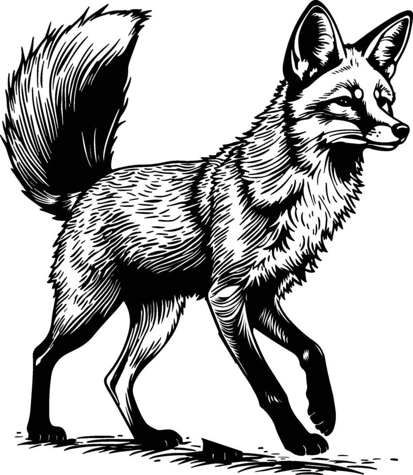 Fox Silhouette Art - Black and White Fox Editable Art vector