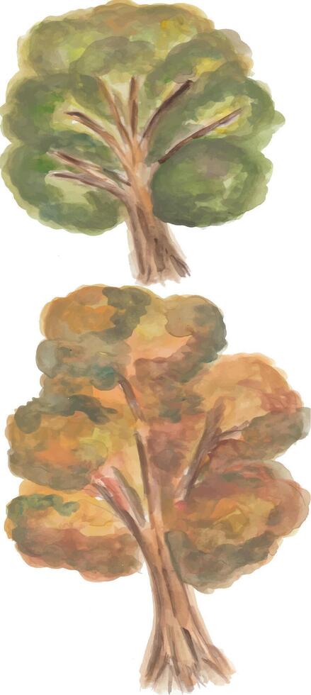 watercolor illustration of two autumn trees vector