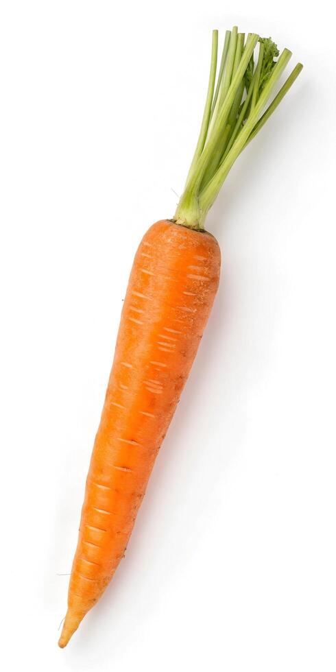 Carrot on white background. photo