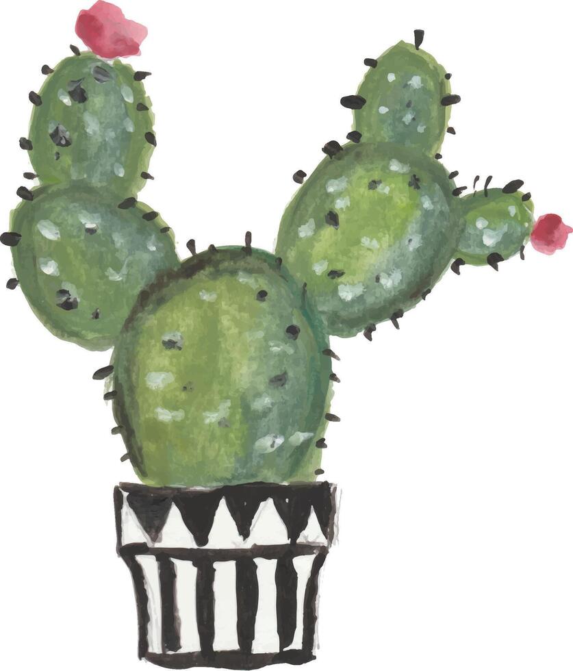 a drawing of a cactus in a pot watercolor vector