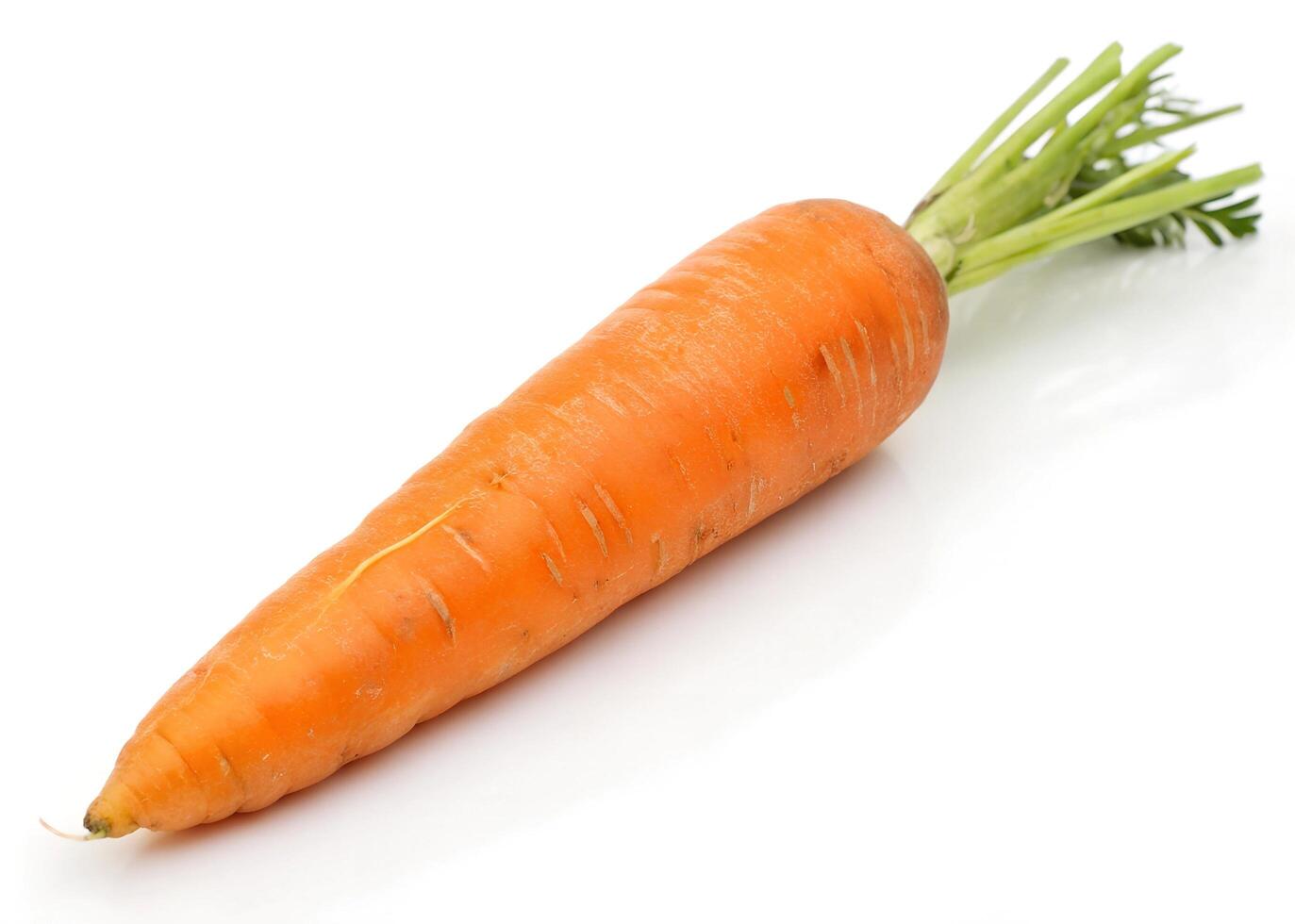 carrots on a white background photo
