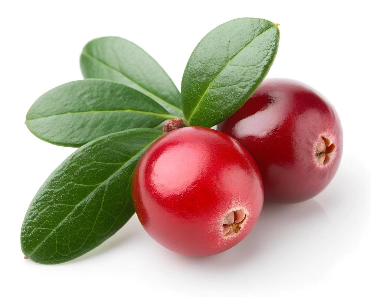 cranberry with leaves photo